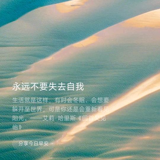 风⁸停