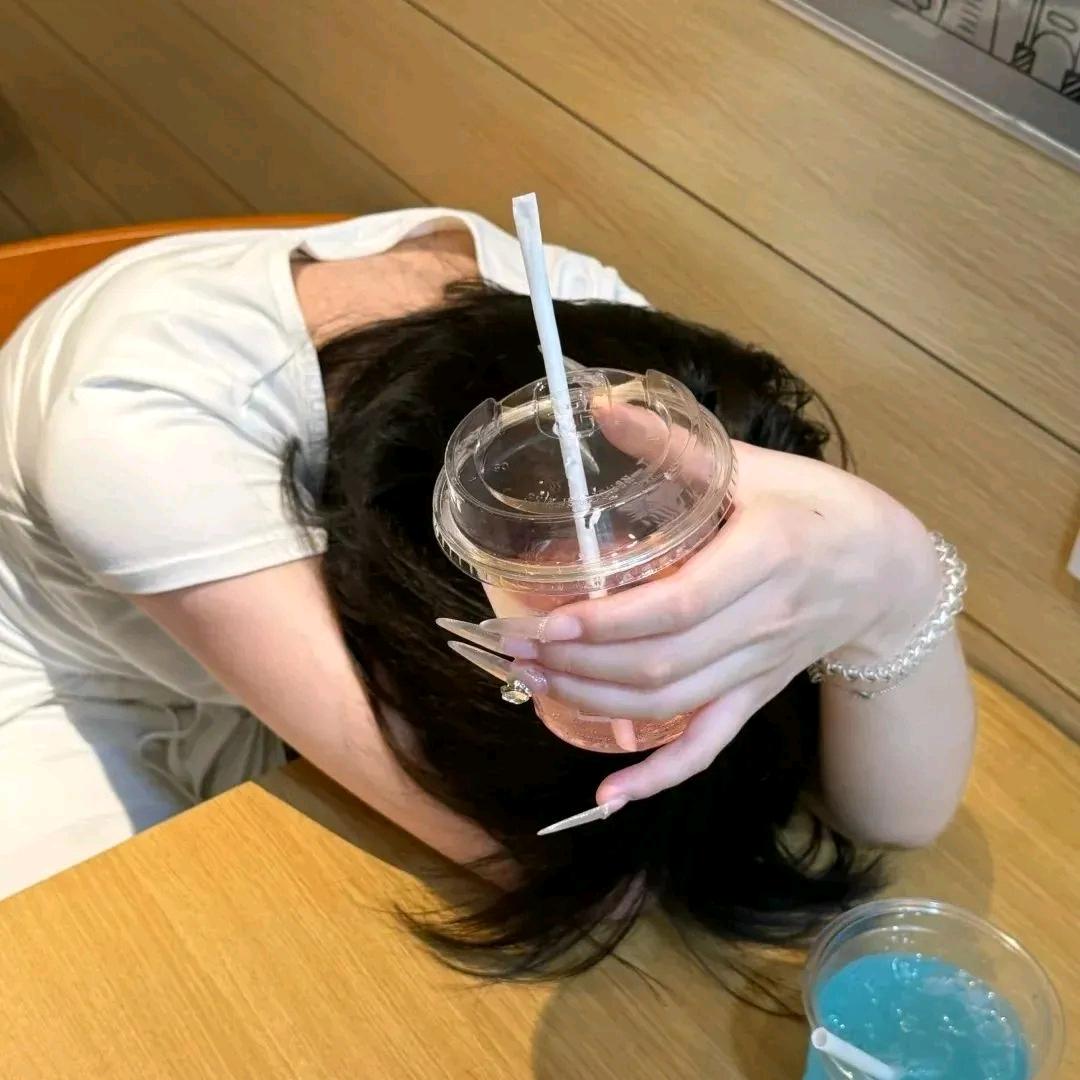 小绵羊👑