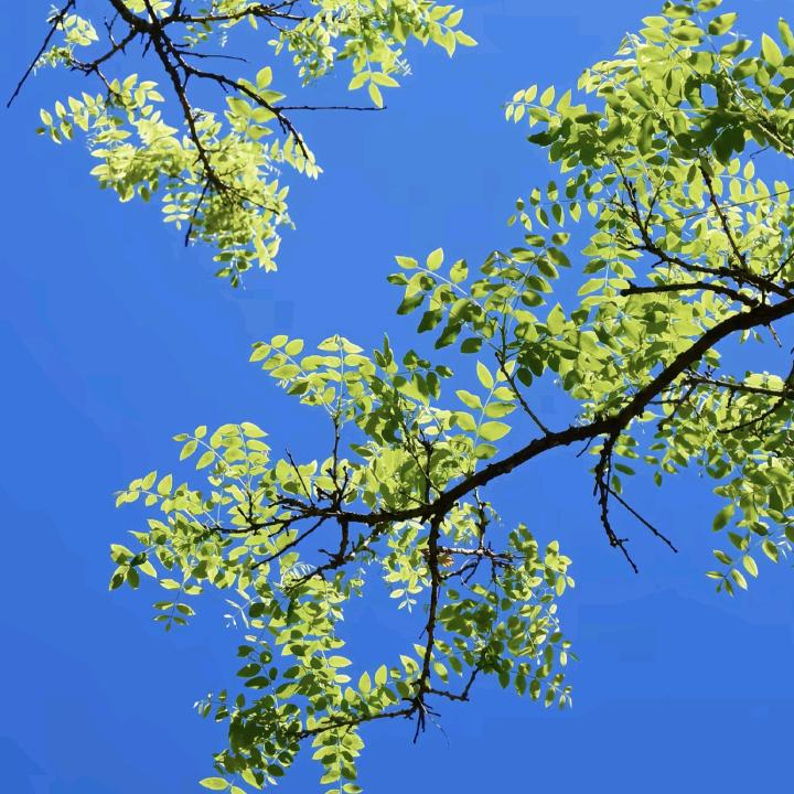 五粮液操作随记