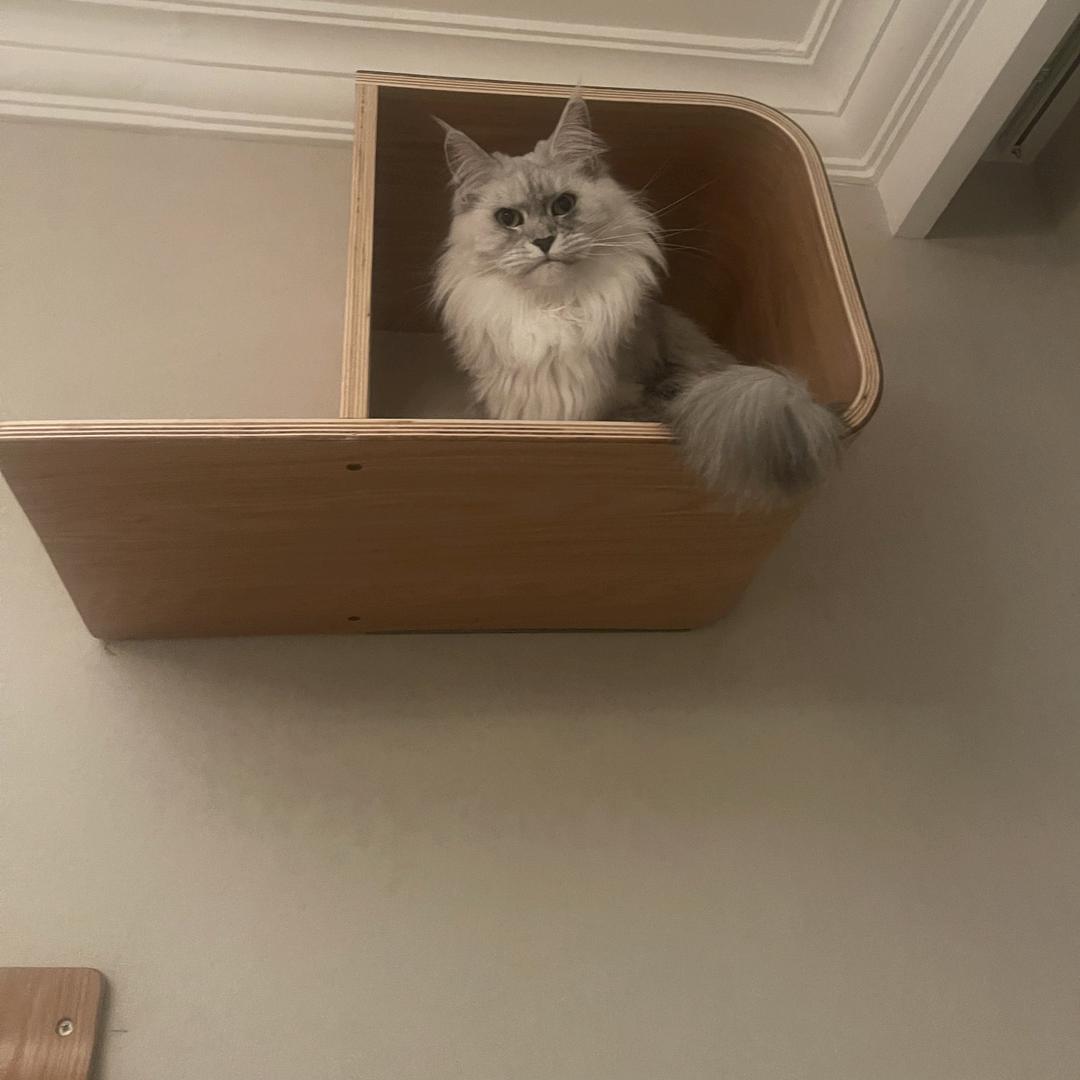 里世界