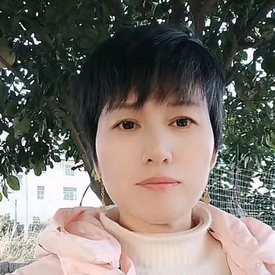 书琴