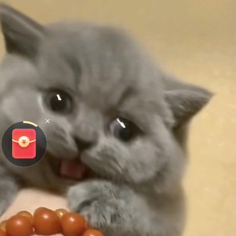 棉花团子
