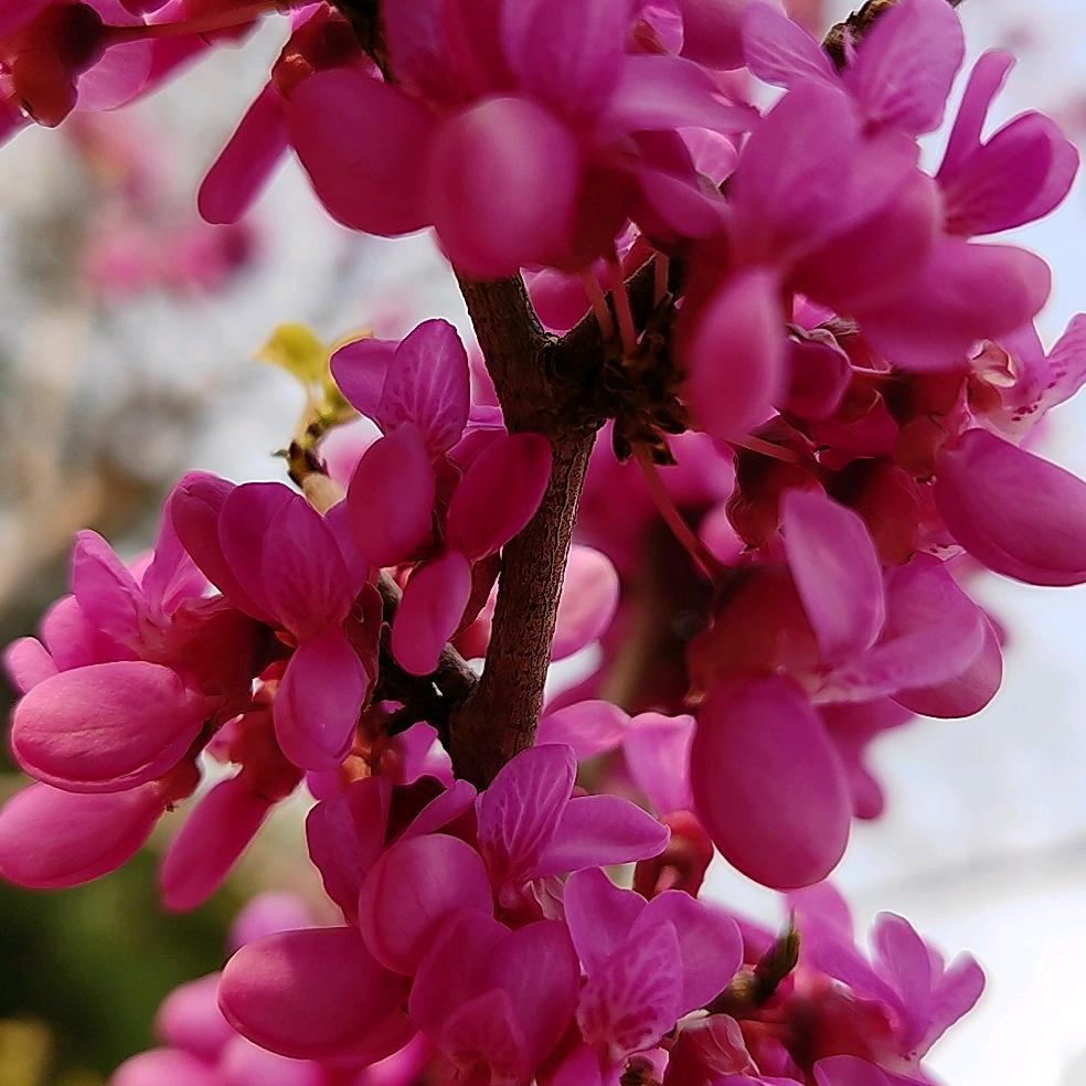 相信自己明天会更好