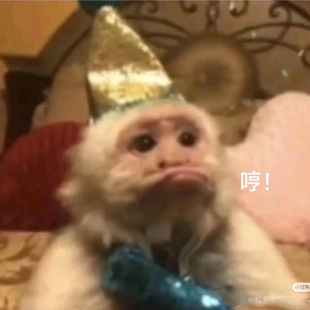 西伯利亚社恐母猴🐒