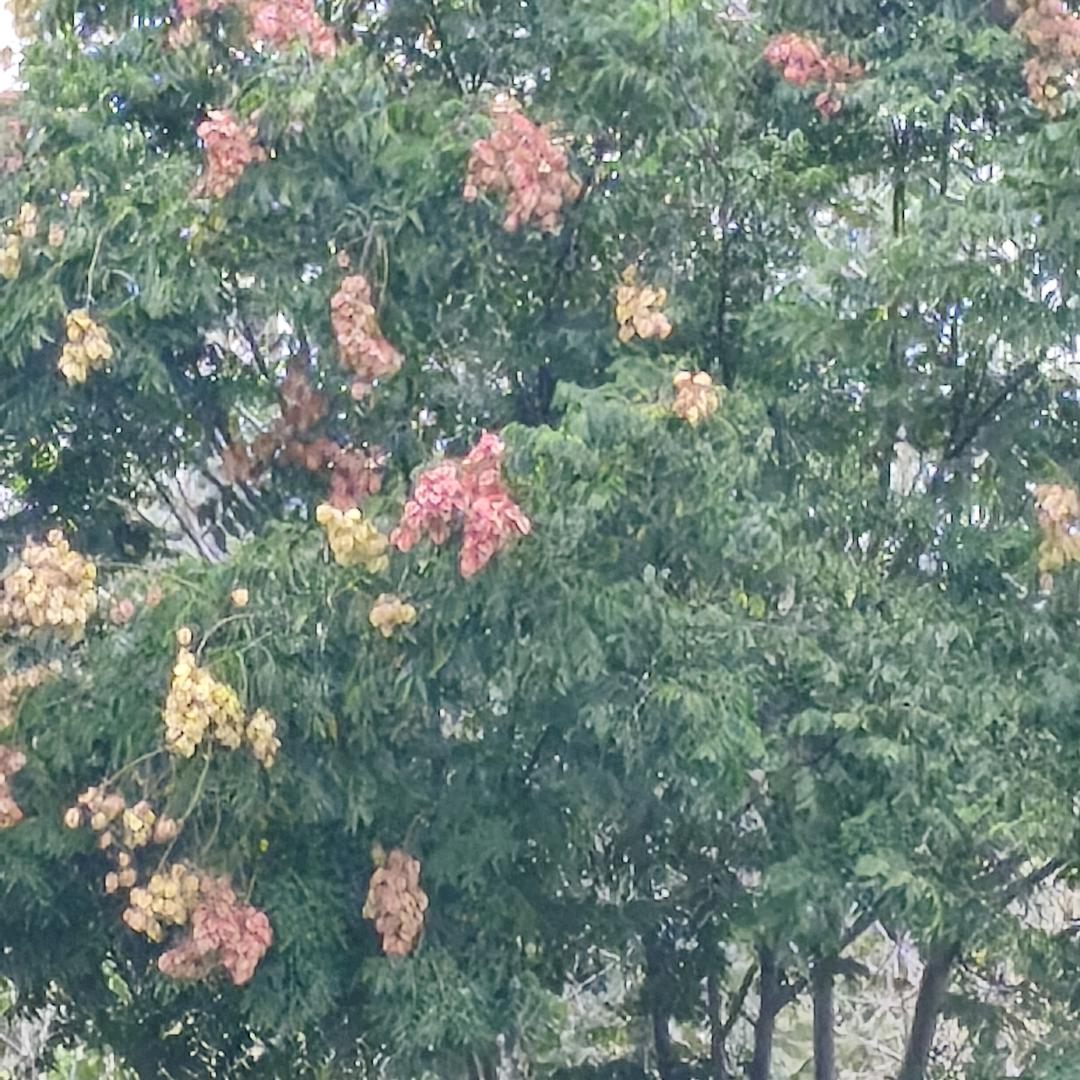 人知初