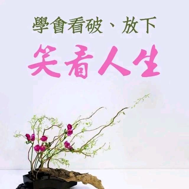 🌈尿不湿的麻辣干🌈