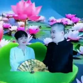陈梦瑶（手机拍摄影）