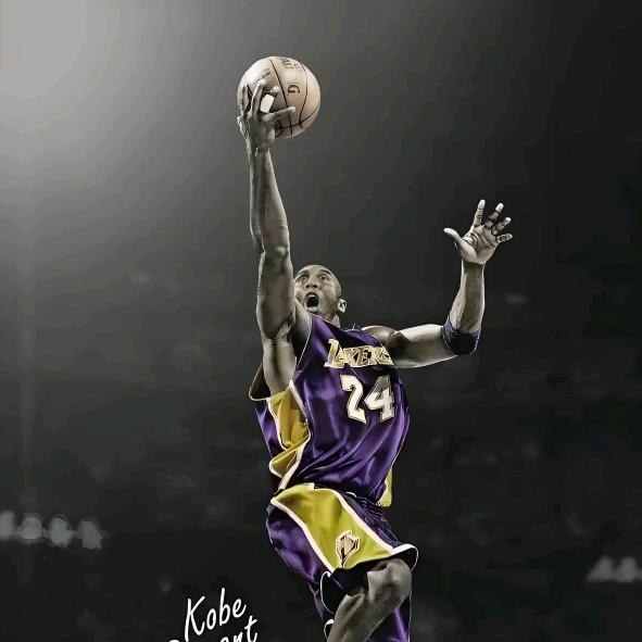 篮球快达🏀