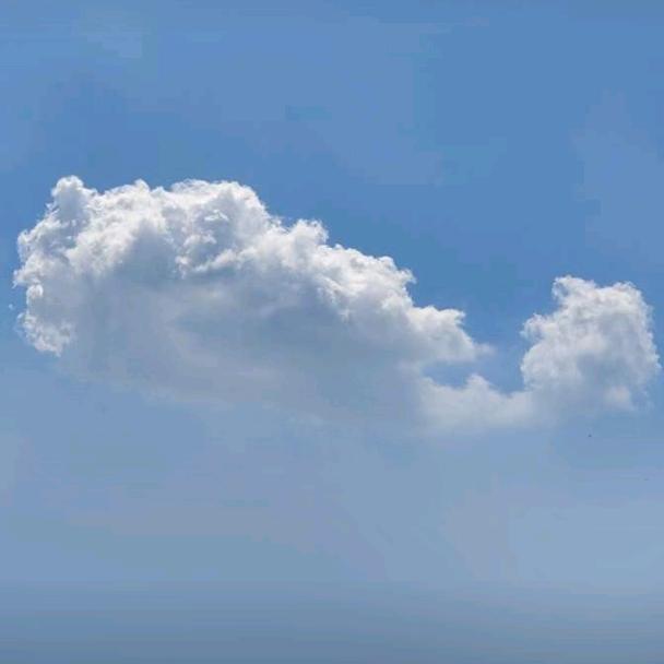 知喜