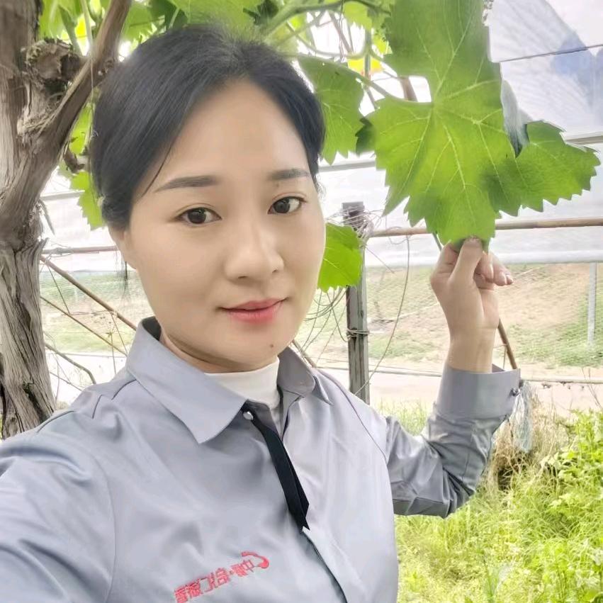 中霖启汇添香秋艳-1