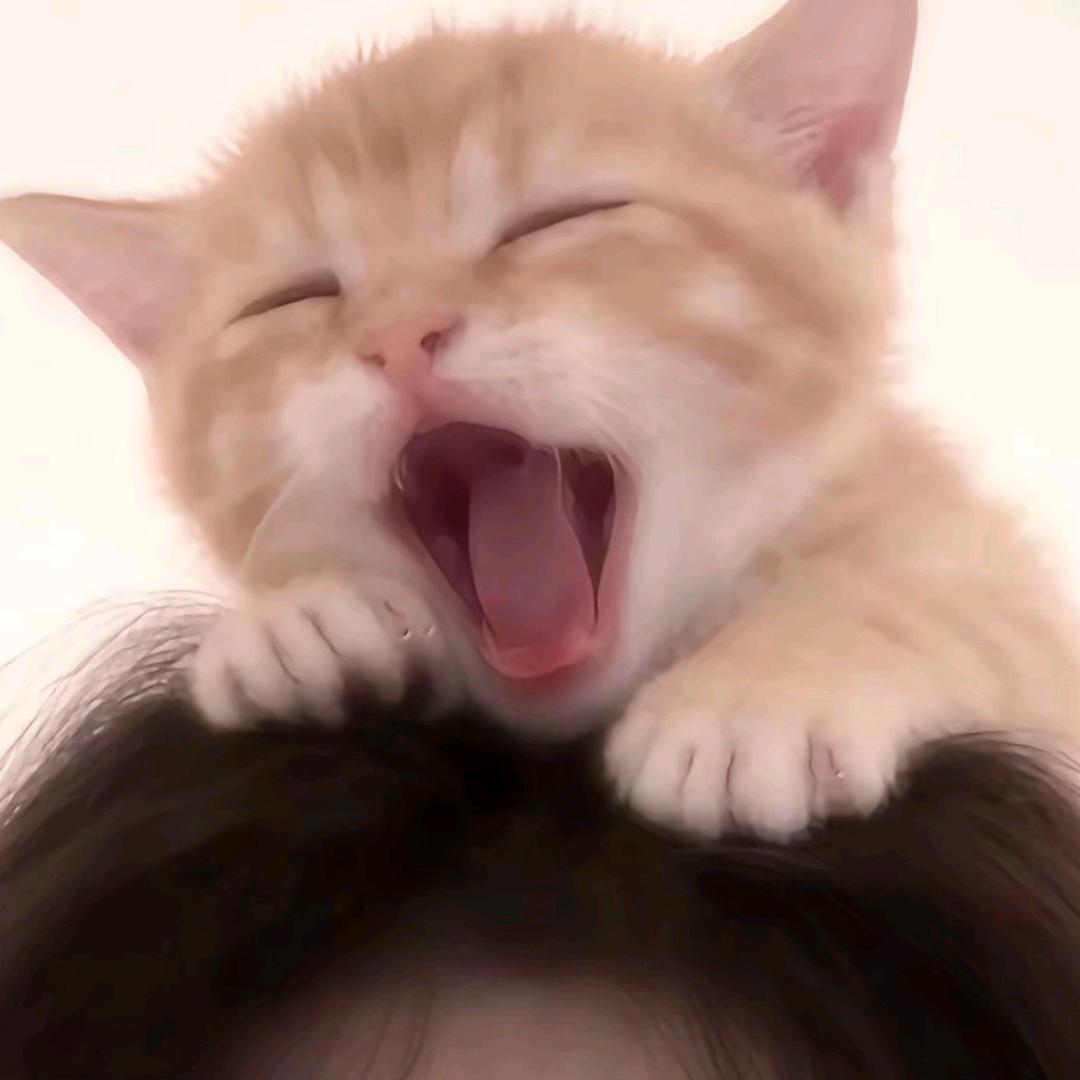温柔散尽