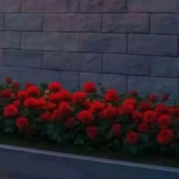 ձꨮ °䒕᭄ꦿ妖չᛜ精☜᭄