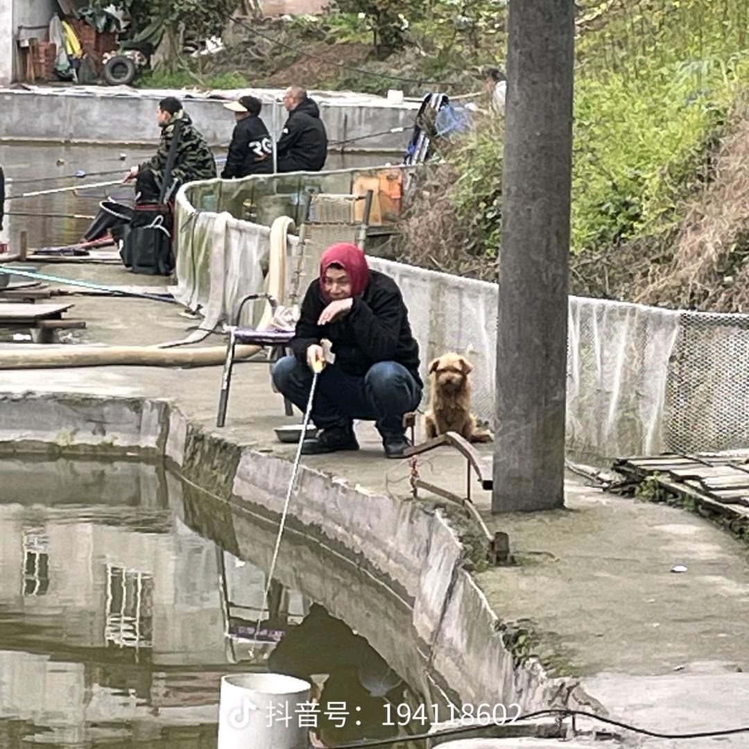 钓鱼就是那么简单