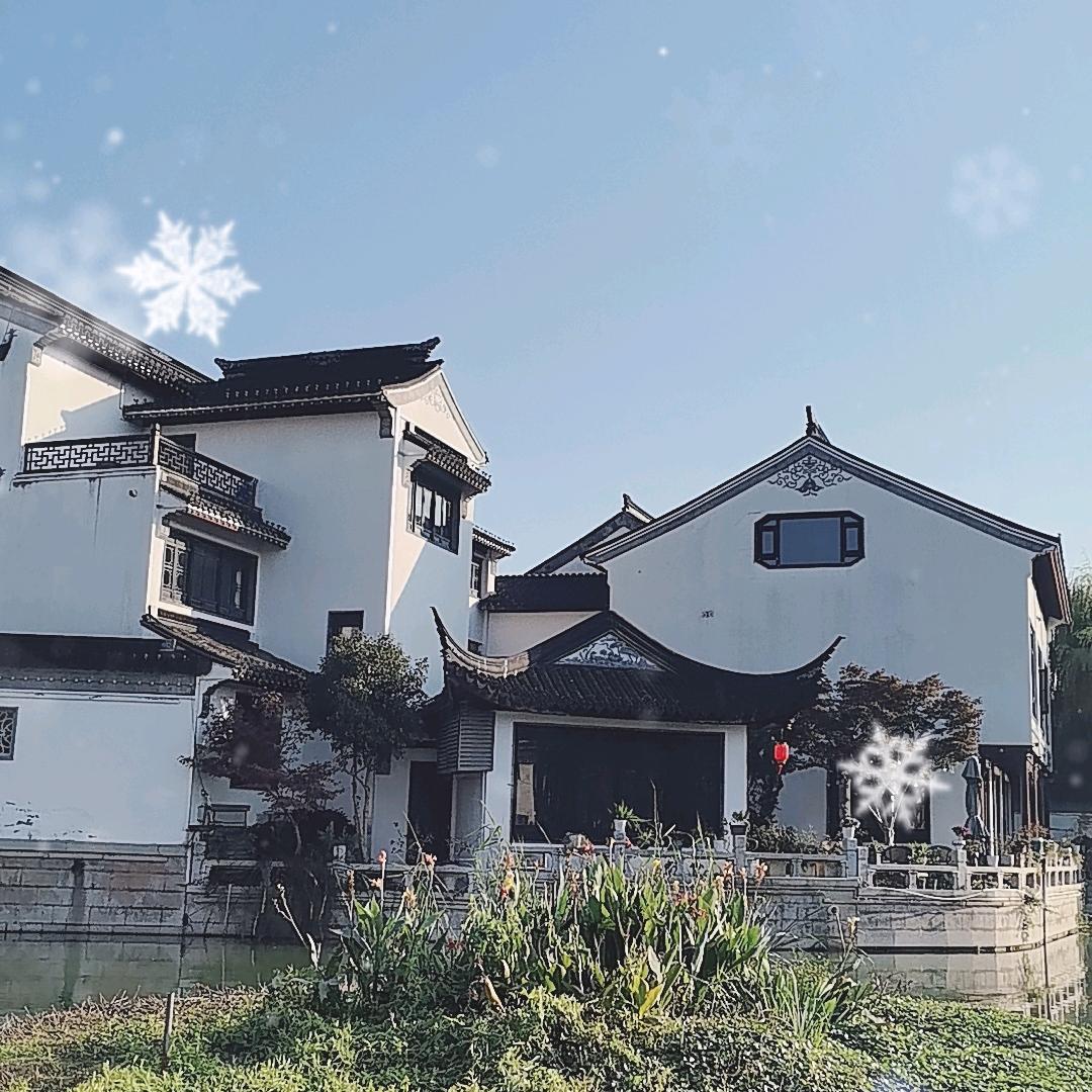 别给我打太极🇨🇳🚅