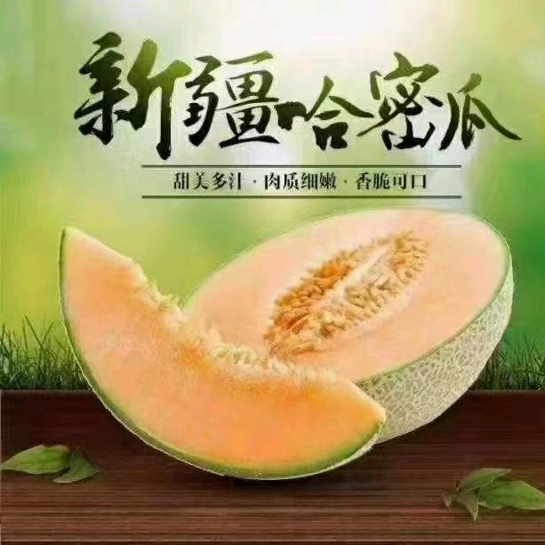 常远瓜果代办代发