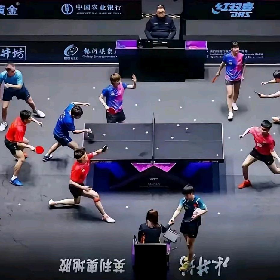 🏓莎莎