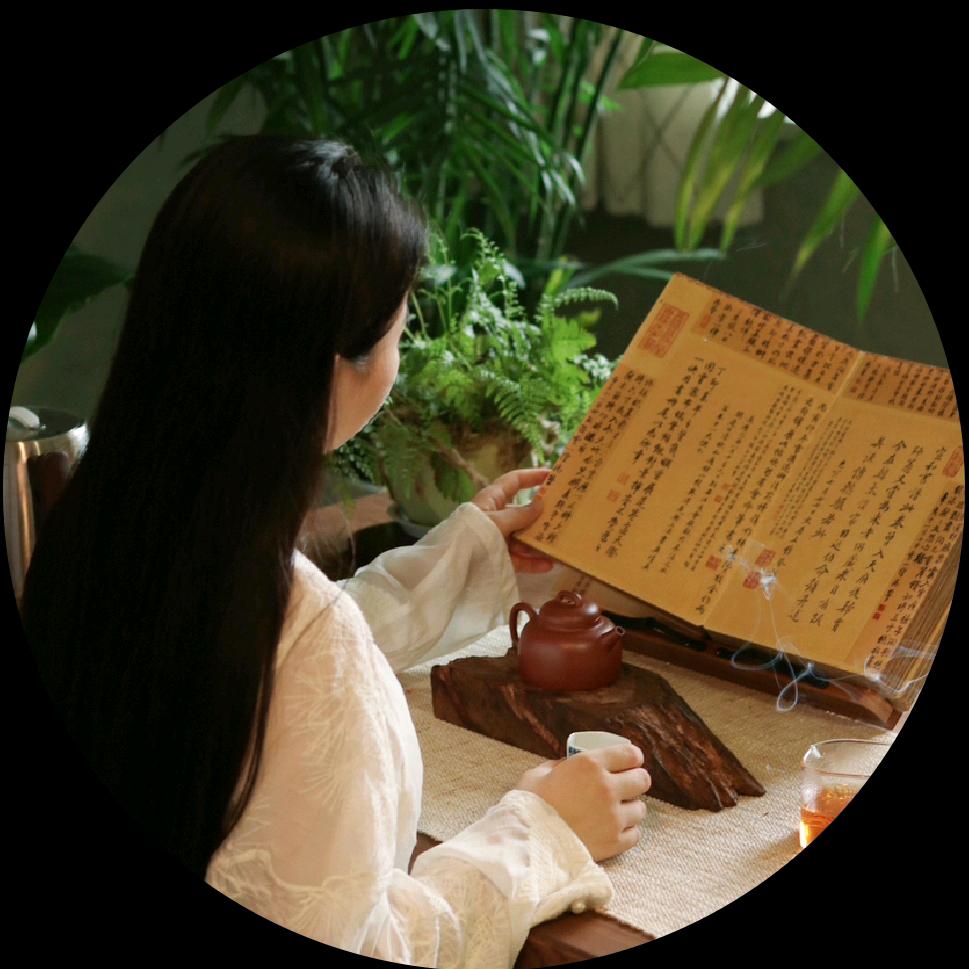 晓阳养生记