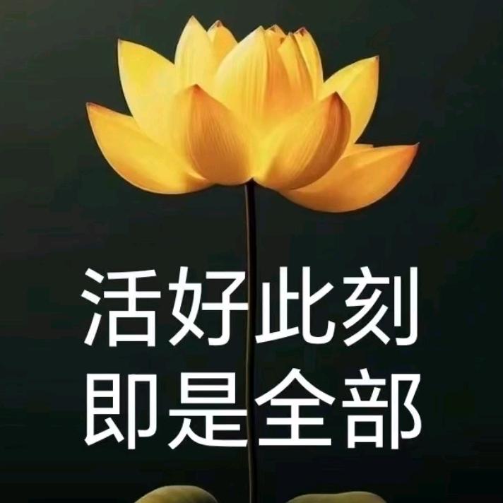 吾心回家