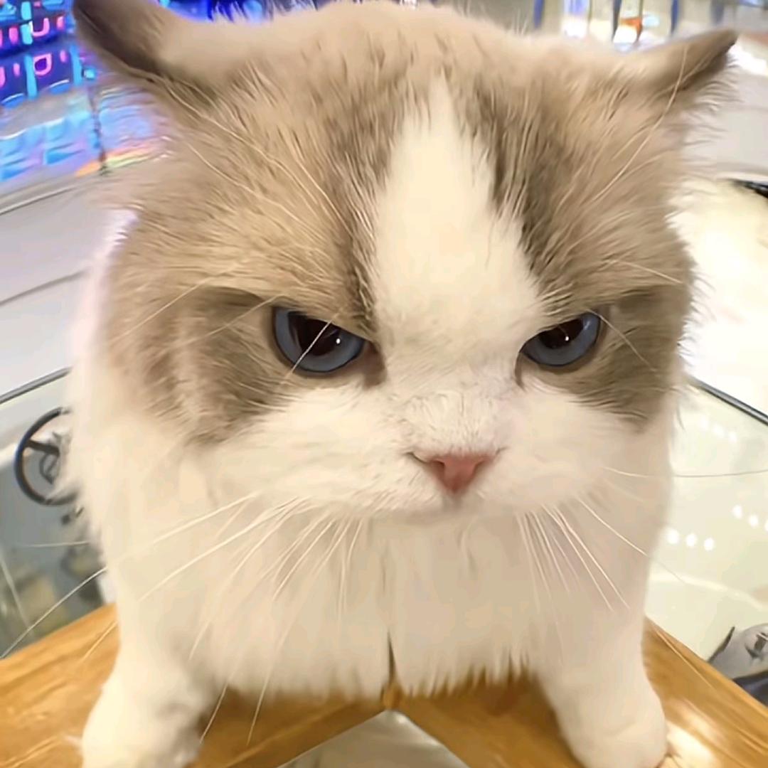 孙庙利红手机渔具店专业手机维修