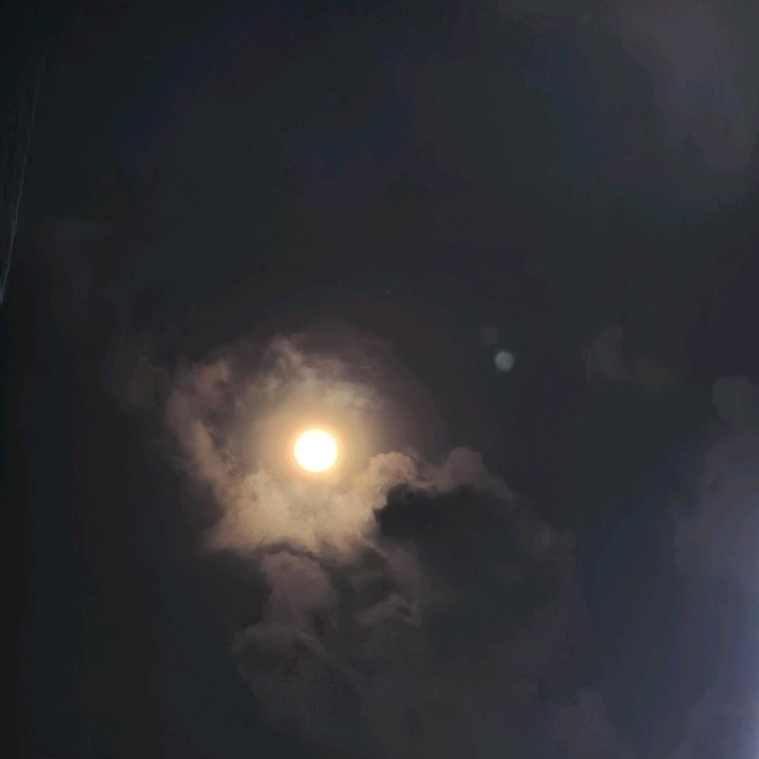 网恋骗我18W