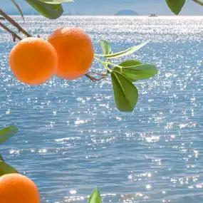 聊城博爱健康查体中心