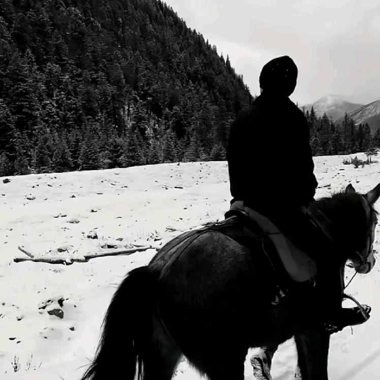 晚风.𝓕𝓨