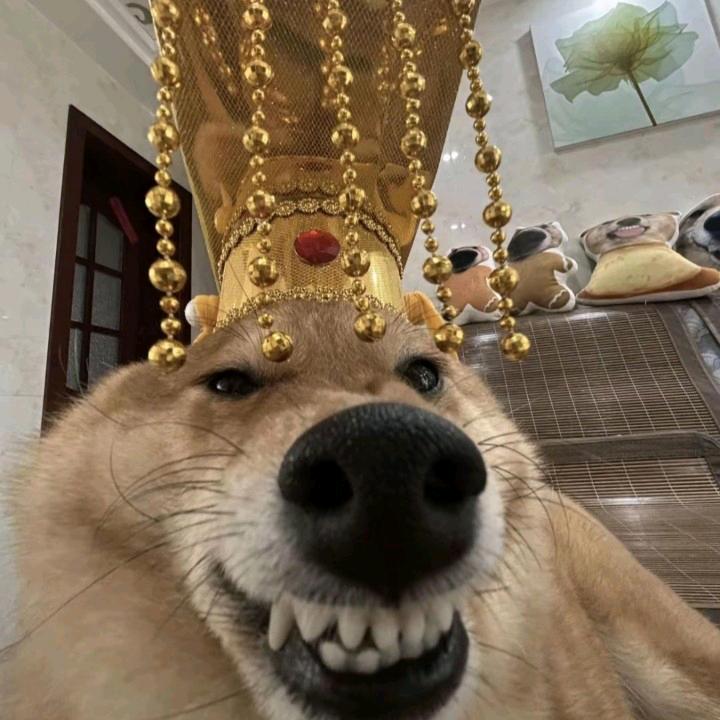 哈密瓜🍈