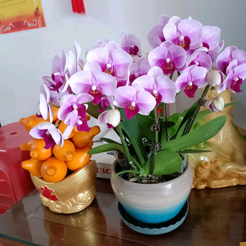 萧娘•香云纱服饰甄选