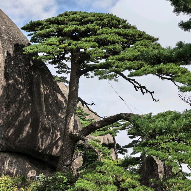 自驾南中国行 MACHT LI