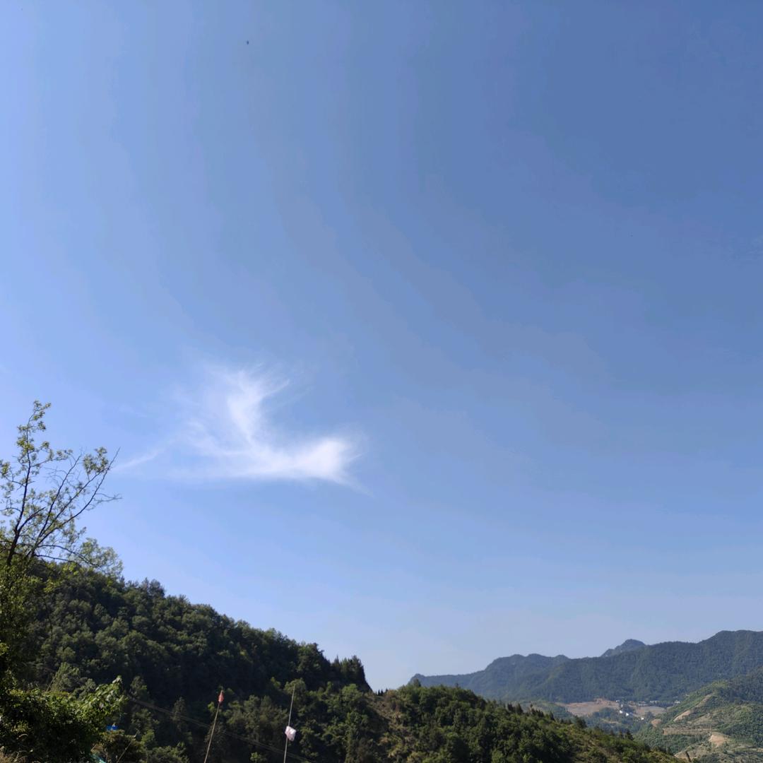 文心雕龙🐲🐉