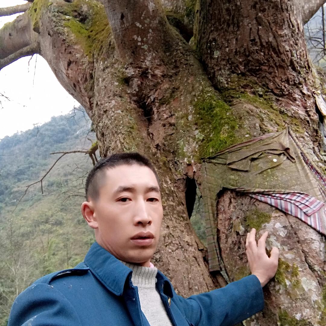 忘记了您还爱我