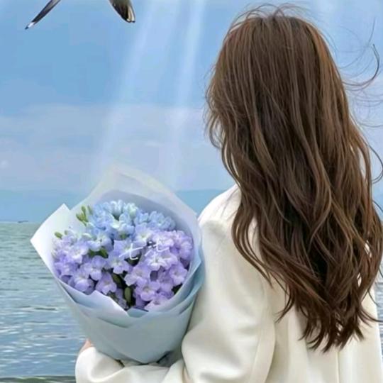 ℳ温柔小娘子…)