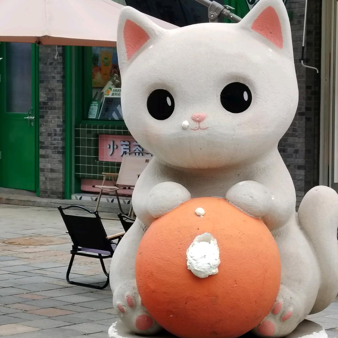 婷儿～🐚 ¹²¹