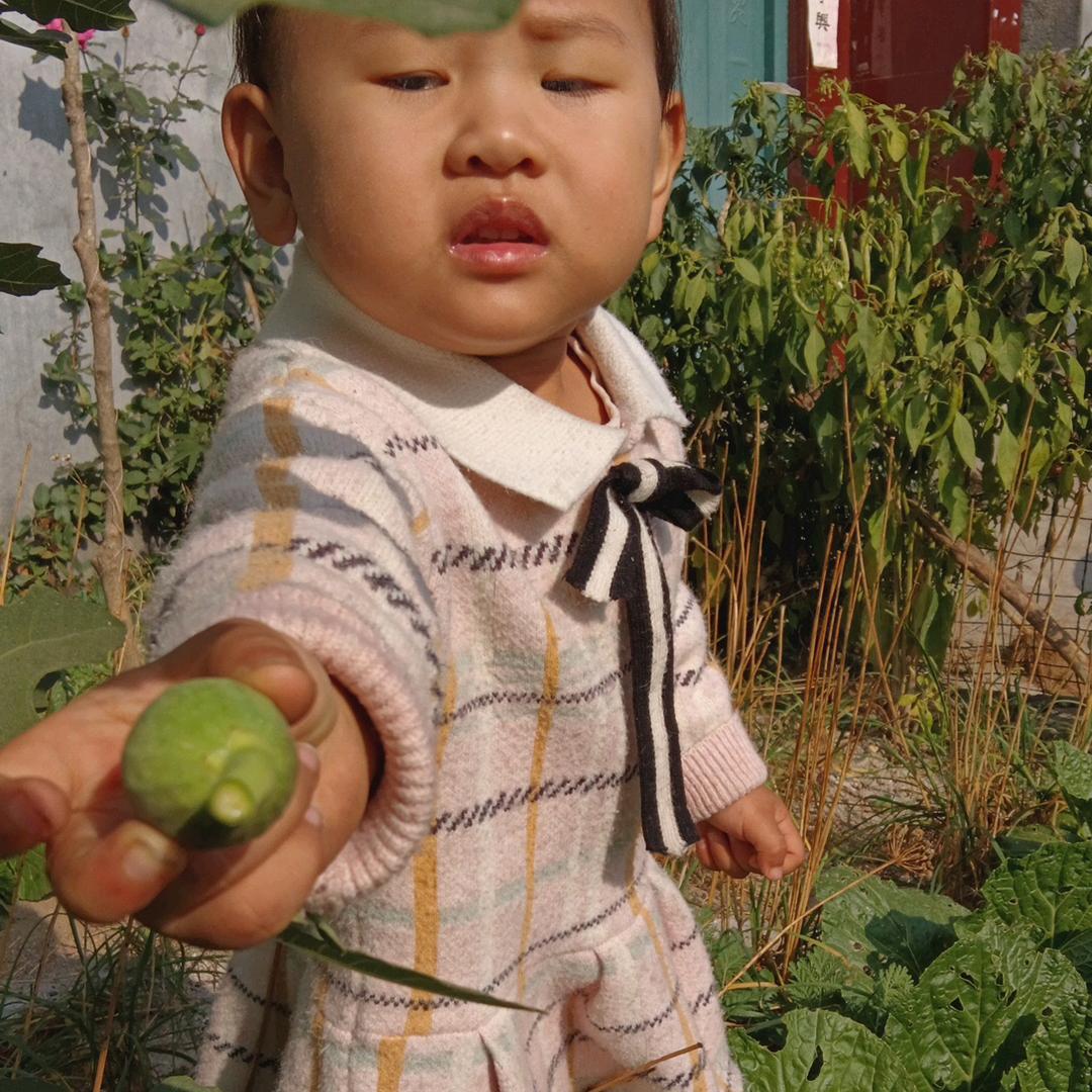 记录养猪场生活