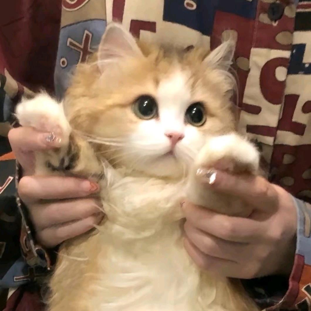 来贝才