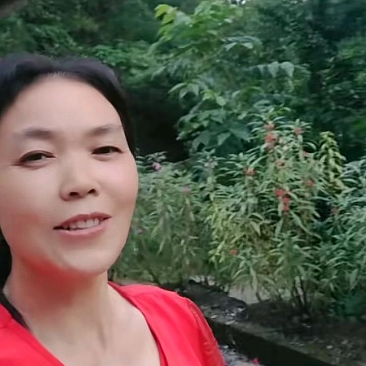 好运来(๑><๑）