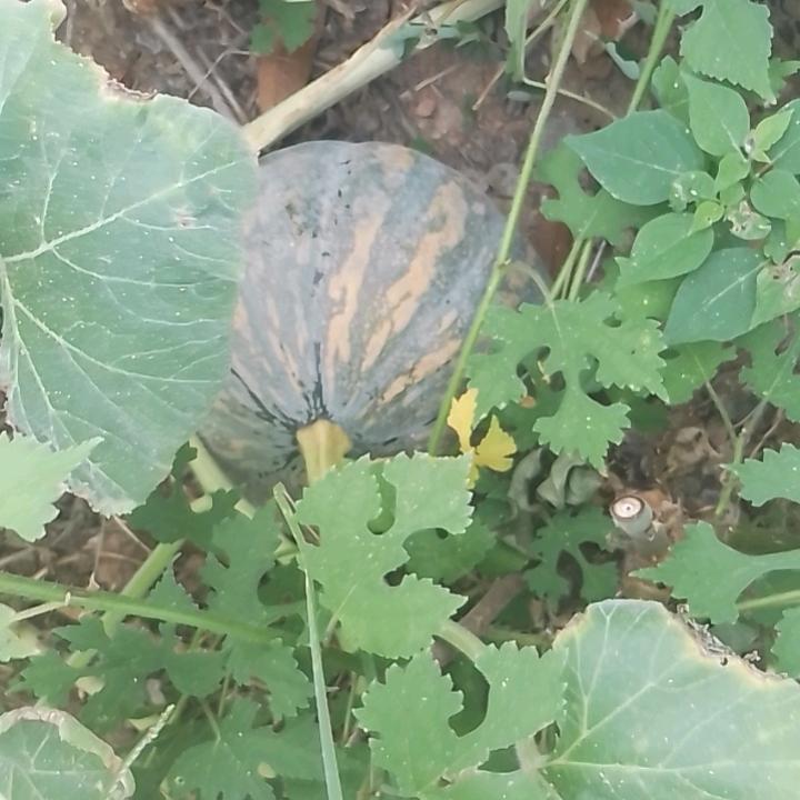 水到渠成