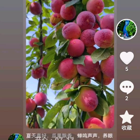 开心