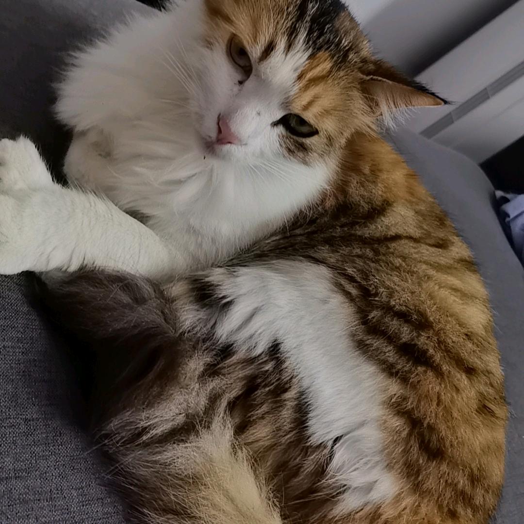 往后余生宠自己