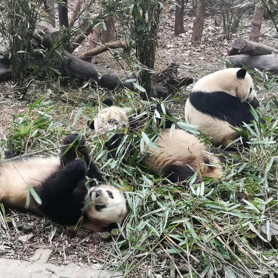 随缘…💕