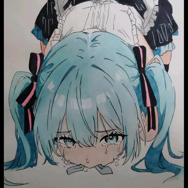 一只糖猫