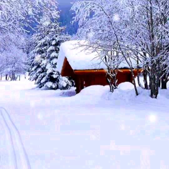 ♡H0NGX1NGL1ANGMA0♡