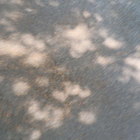 （16）