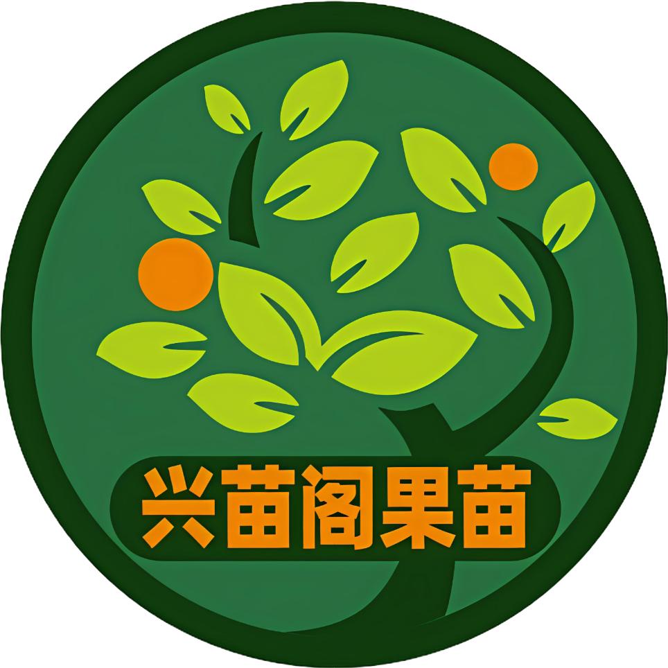 椰箩兴苗阁果树苗木专卖店