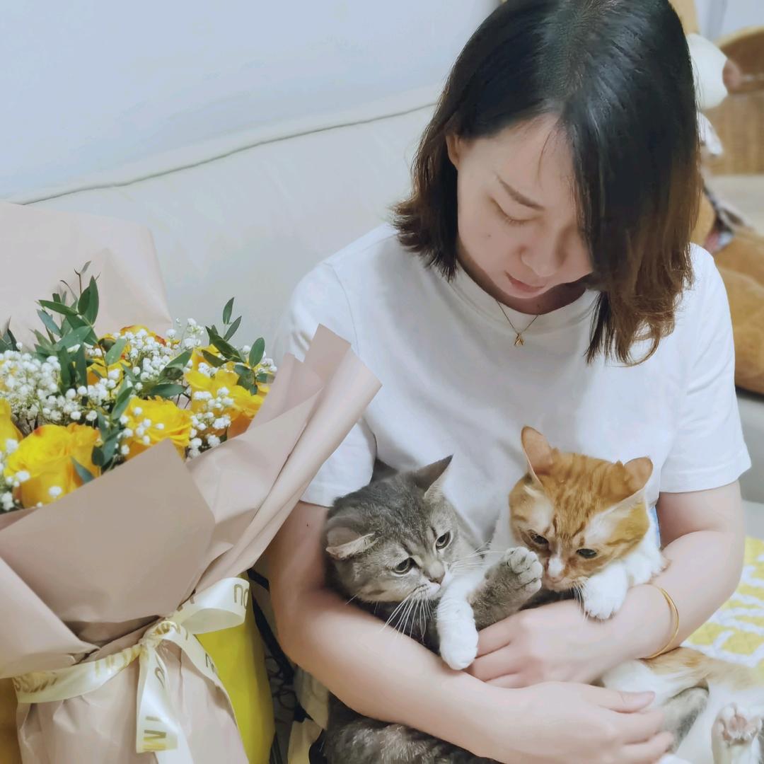 毛毛和喵喵朋友们