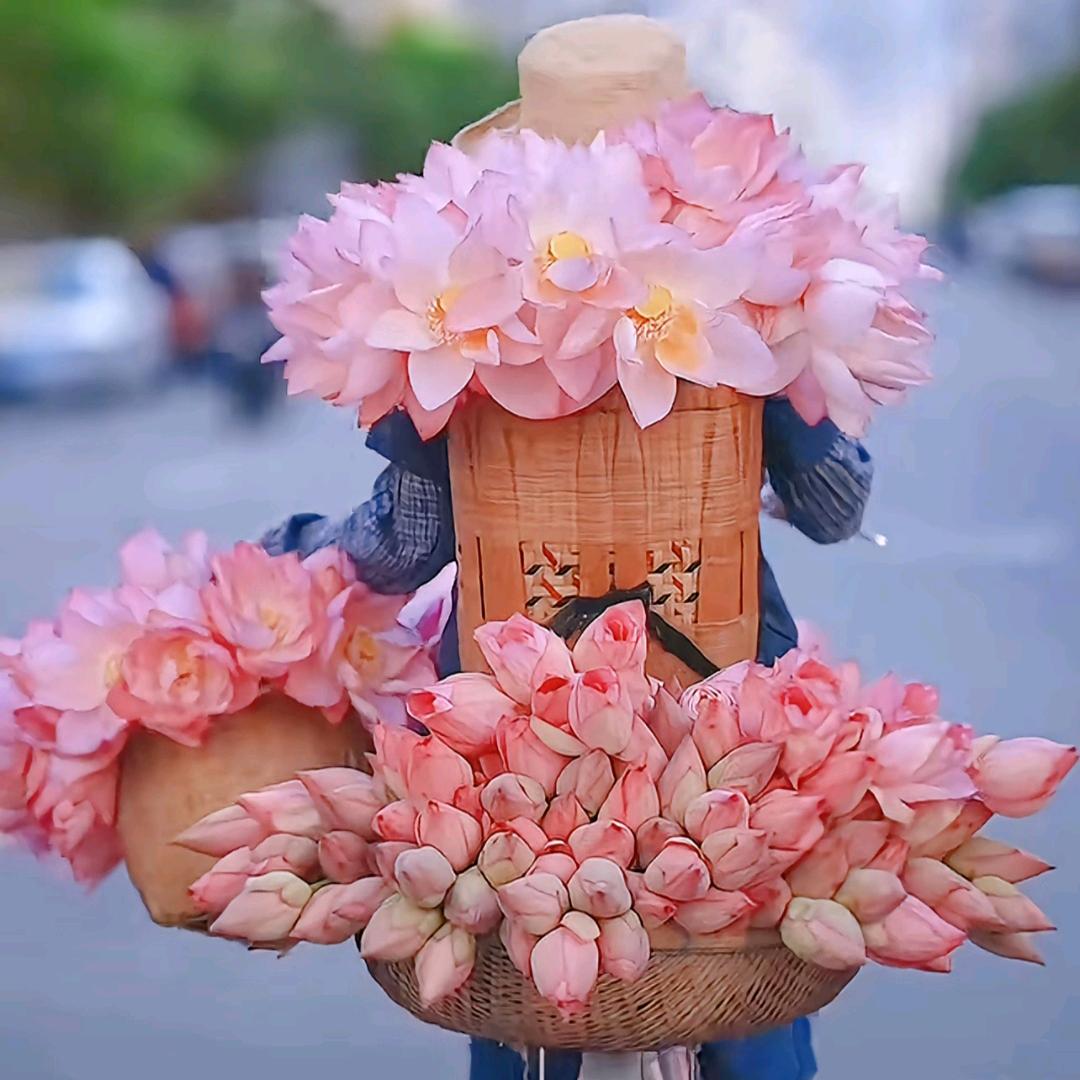 吴烦恼