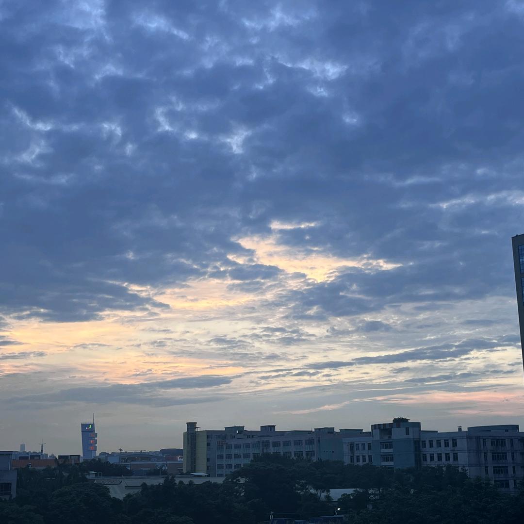 听风叙晚，风与拾光