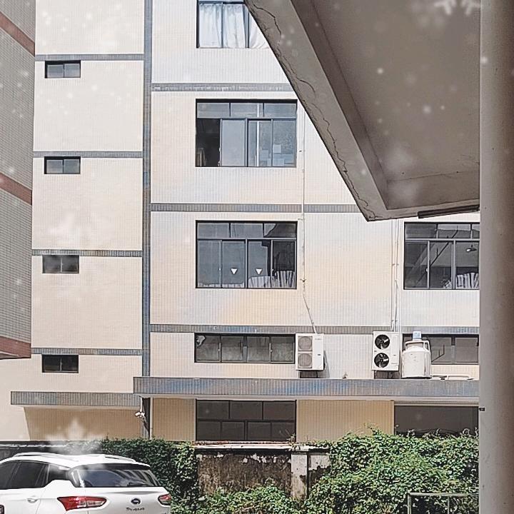 蓝🌹姐