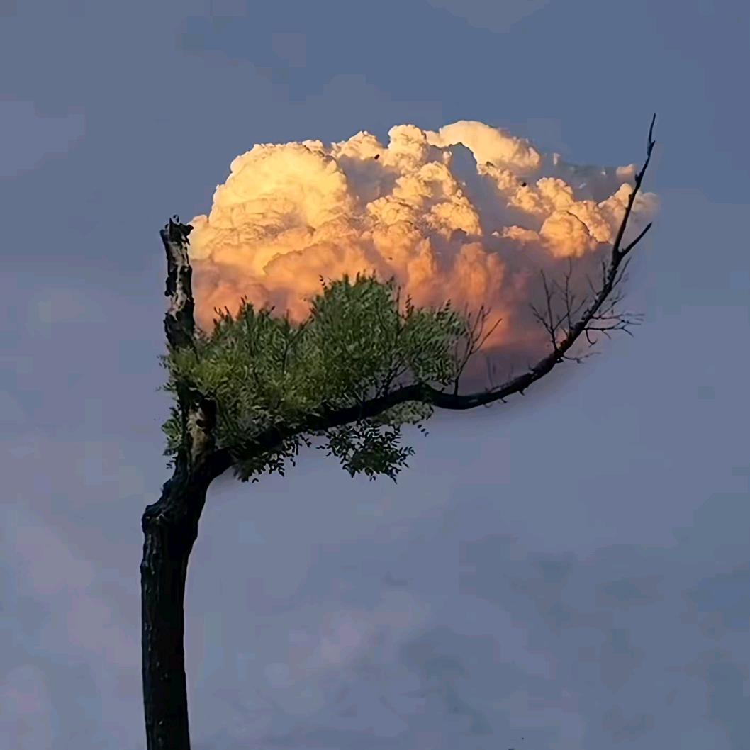 🌫️汁