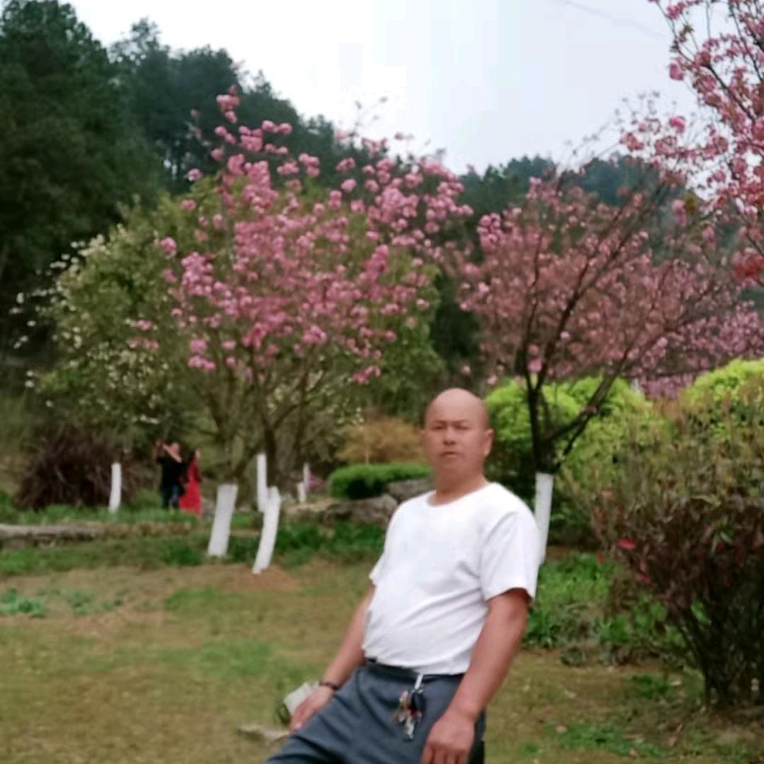 伤痛的心